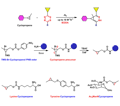 Cyclopropene（环丙烯）